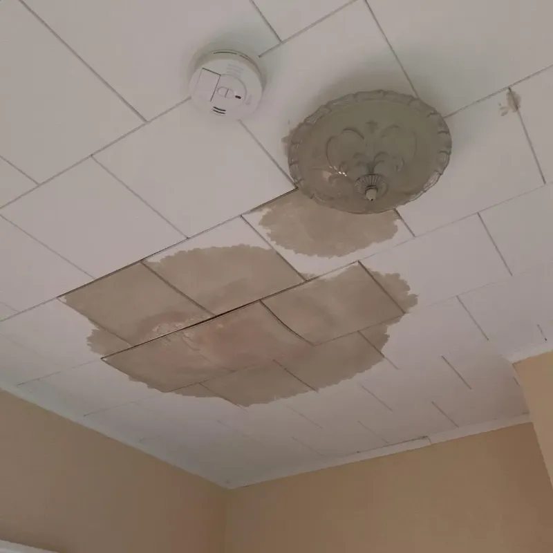 Ceiling Water Damage Repair in Fate, TX