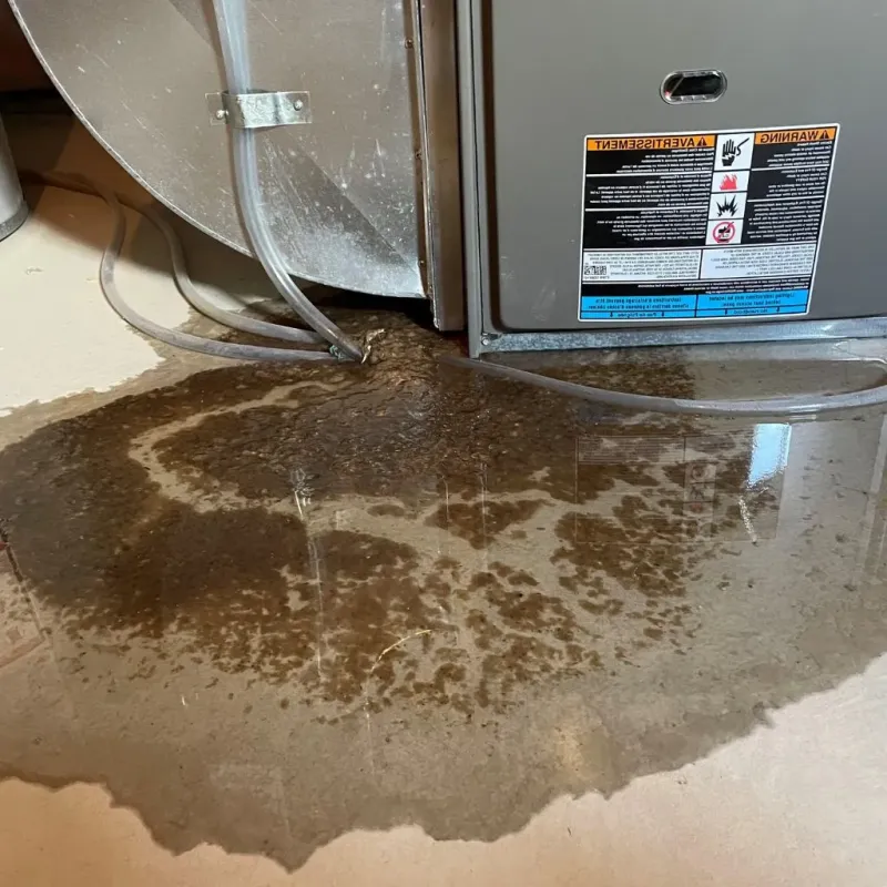 Pipe Burst and Leak Restoration in Fate, TX
